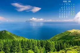 维尼修斯惊艳表现结果意外的简单介绍